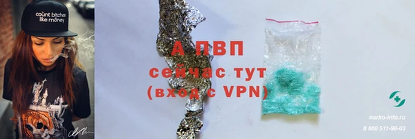 кокс Арсеньев