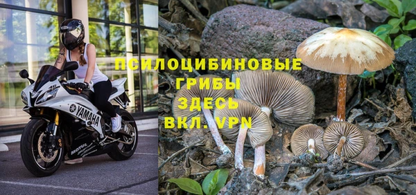 кокс Арсеньев